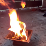 Erneuerung und Schöpfung