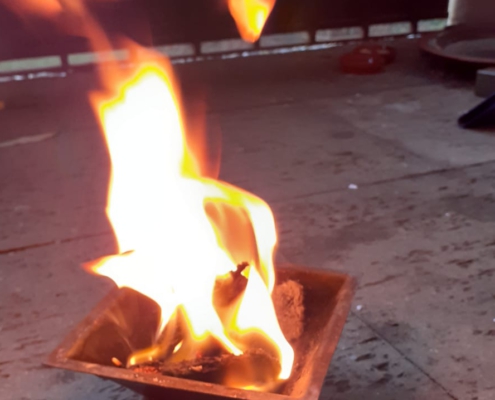 Erneuerung und Schöpfung