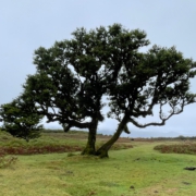 Whatsapp Bild 2024 09 09 Um 15.52.09 E7db9a80