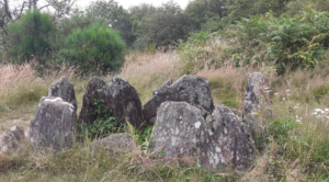 Christelle Oediger - Auf Den Spuren Von Merlin