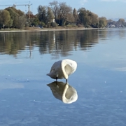 Photo 2025 06 02 21 47 23