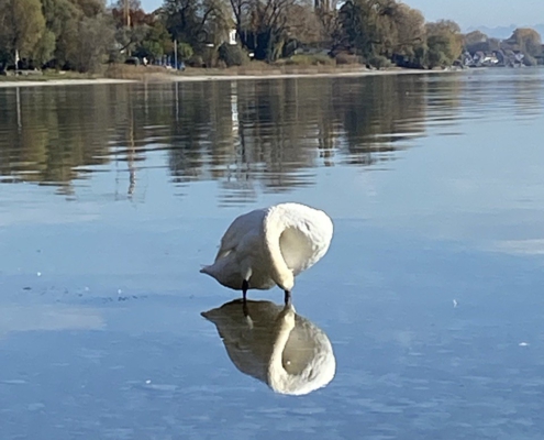 Photo 2025 06 02 21 47 23